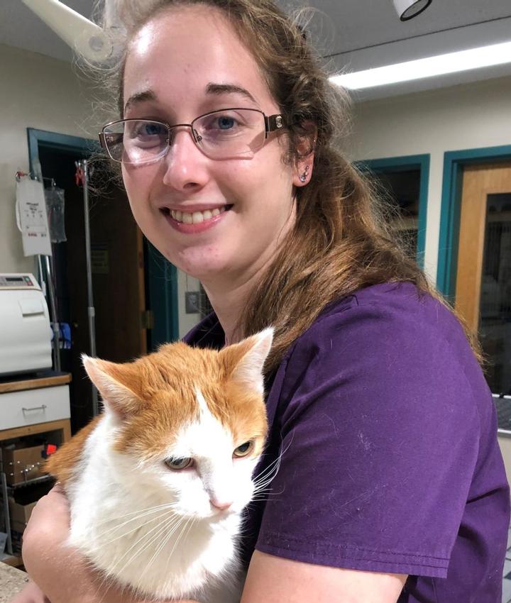 Milton Veterinarians Animal Hospital